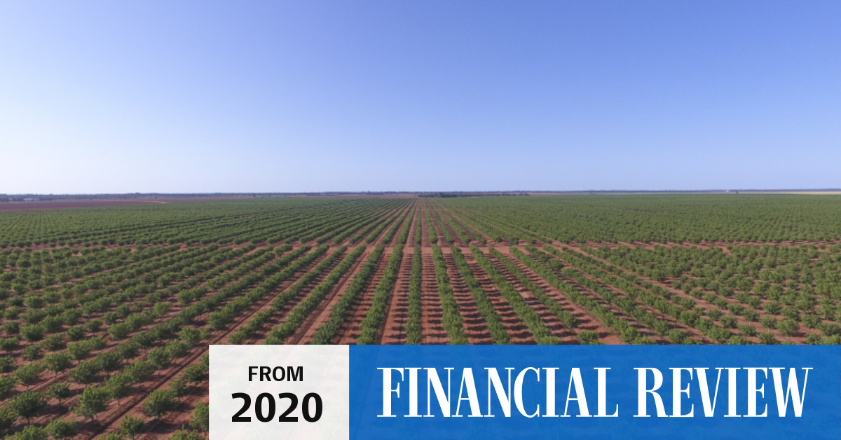 Harvard University to cash out of NSW almonds and cotton farms